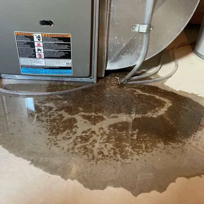 Appliance Leak Cleanup in Atascadero, CA